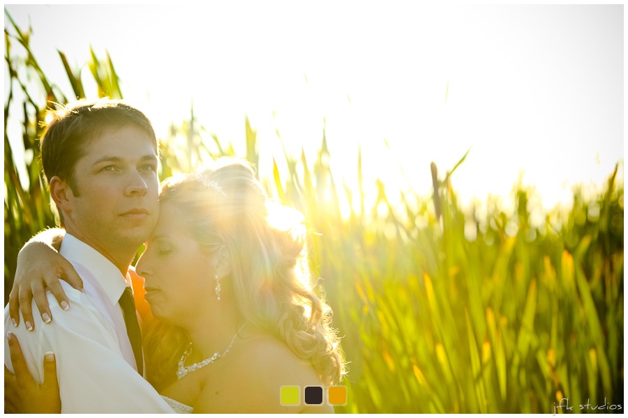 Wedding Pictures at The Cove Bride and Groom Wedding Pictures at Normandy Park (The Cove)